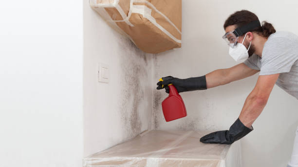 Professional Bathroom Mold Removal technician working in Tempe, AZ